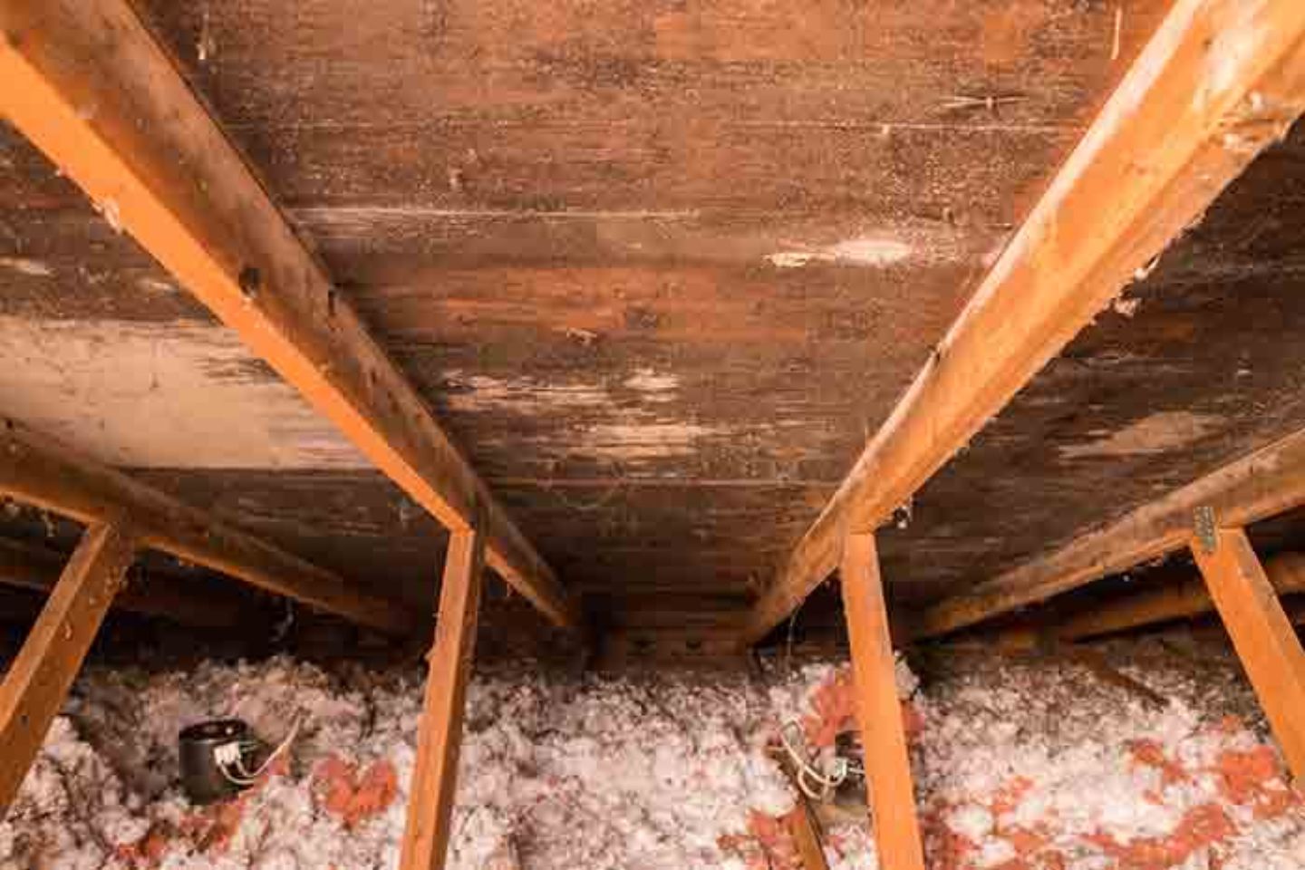 View of an insulated roof with wooden beams, relevant to attic mold removal services in Rockford, IL.