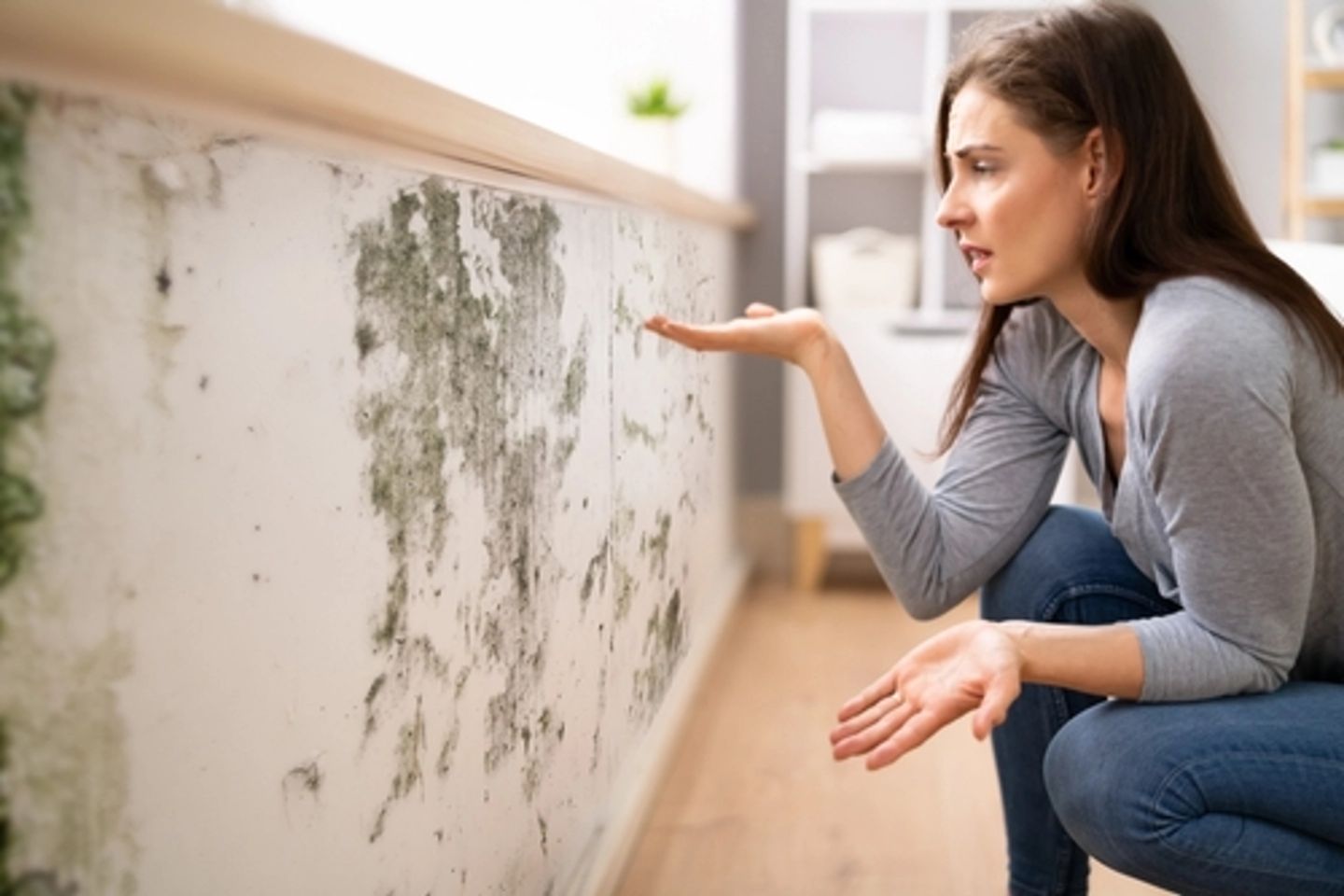 A woman inspects mold growth on a wall, emphasizing the importance of mold removal services in Rockford, IL.