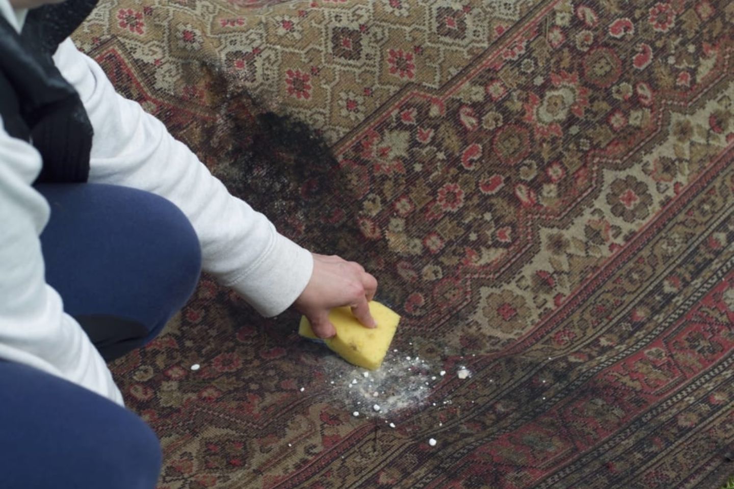 Individual scrubbing a rug with a sponge, illustrating a carpet mold removal service based in Rockford, IL.