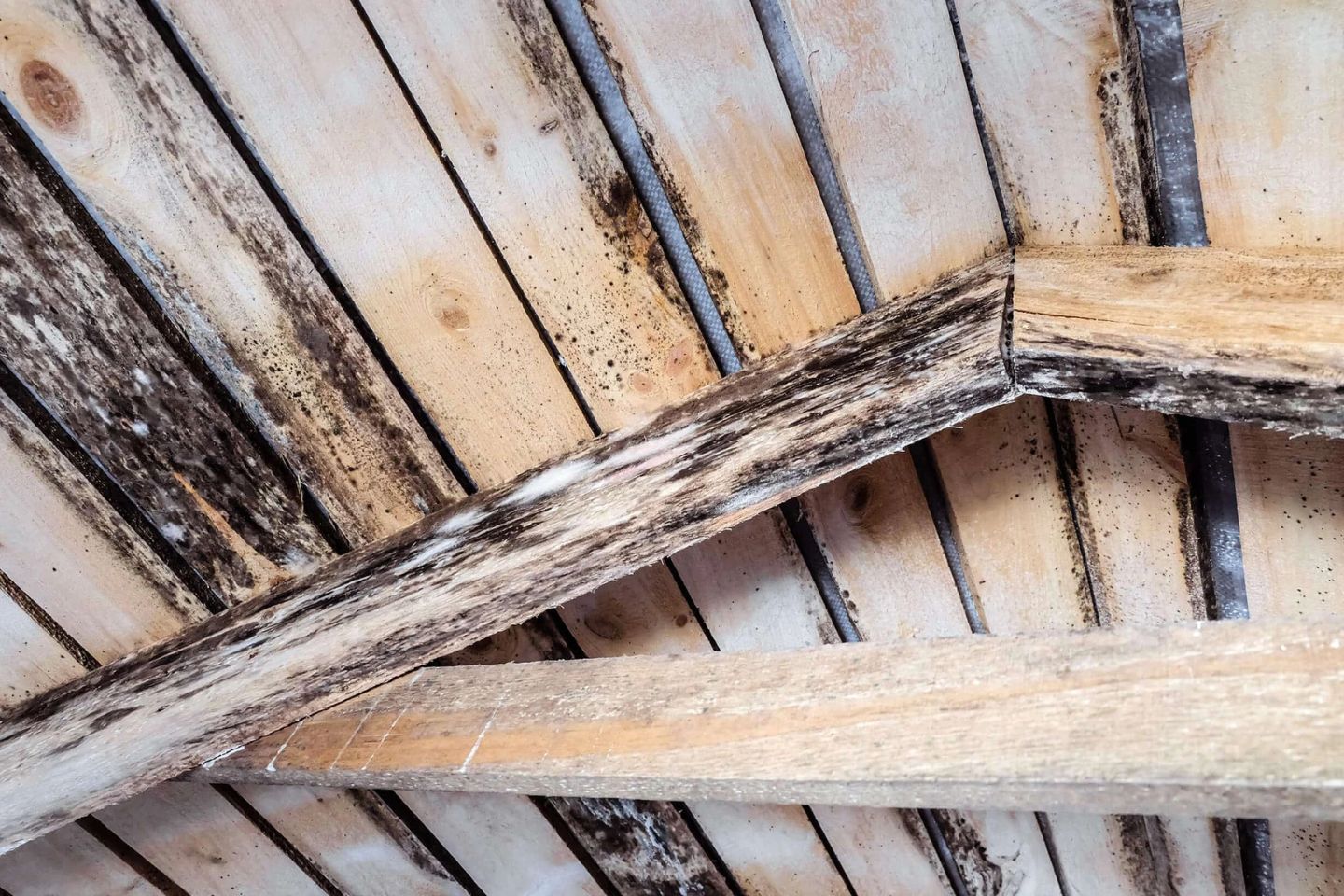 Rusty wooden beams, emphasizing the importance of wood mold removal services in Rockford, IL.