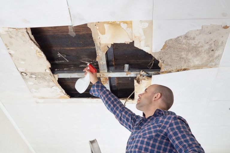 A man examines a ceiling while holding a hammer, assessing potential mold issues.