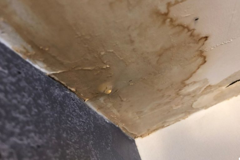 A close-up of a moldy ceiling showing significant water damage and discoloration.